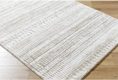 Delight Shag DEL-2302 7'10" x 10' Machine Woven Rug