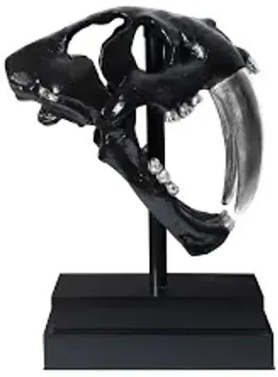 saber tooth tiger skull, black