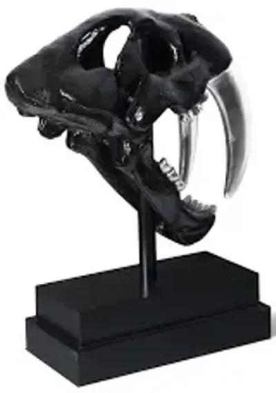 saber tooth tiger skull, black