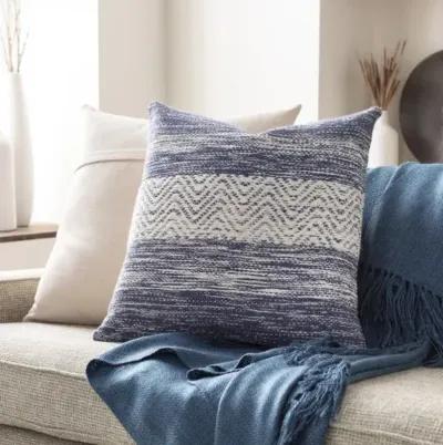 Levi 22"H x 22"W Pillow Cover