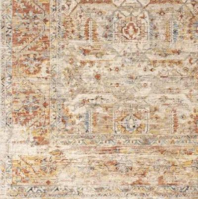 Aspendos APS-2311 2'7" x 10' Rug