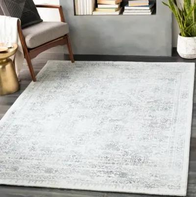 Roma ROM-2308 2'7" x 7'3" Rug