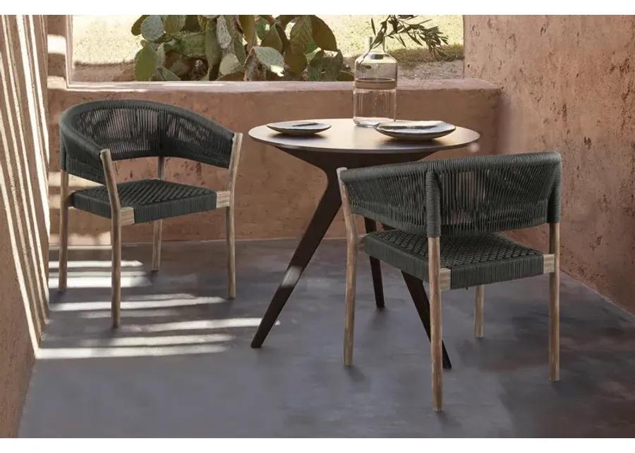 Doris Indoor/Outdoor Dining Chairs - Set of 2