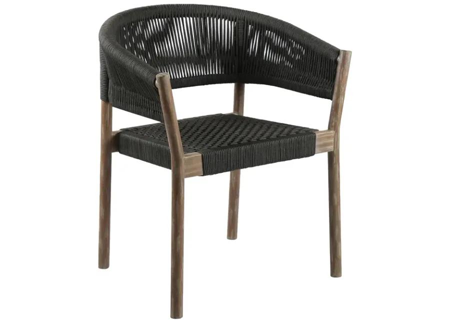 Doris Indoor/Outdoor Dining Chairs - Set of 2