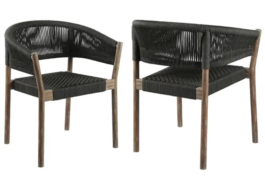 Doris Indoor/Outdoor Dining Chairs - Set of 2