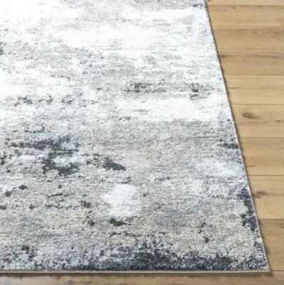 Portofino PTF-2321 5'3" x 7' Machine Woven Rug