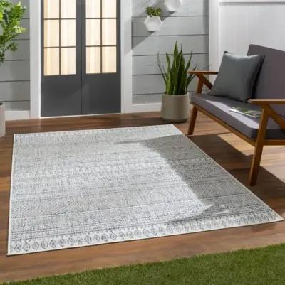 Eagean 8'10" x 12' Rug