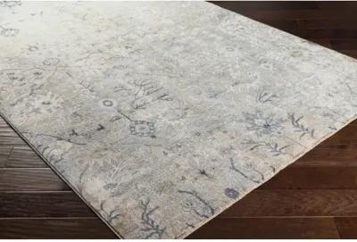 Brunswick BWK-2316 2'7" x 7'3" Rug