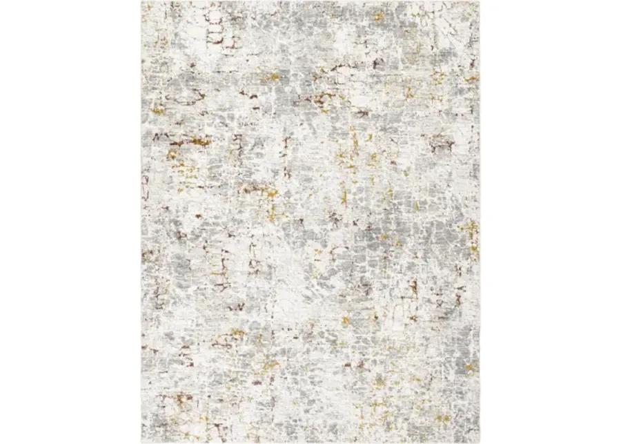 Dresden DRE-2315 12' x 15' Machine Woven Rug