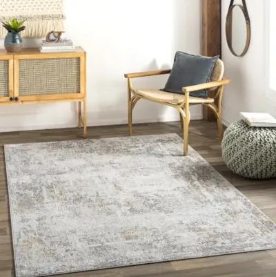 Carmel 2'7" x 4' Rug