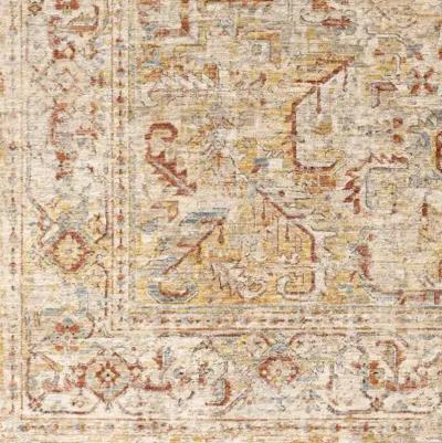 Aspendos APS-2318 2'7" x 10' Rug