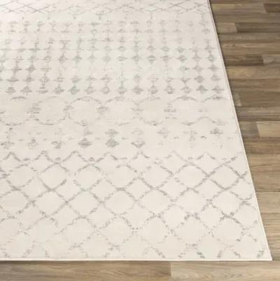 Roma ROM-2343 2'7" x 7'3" Rug