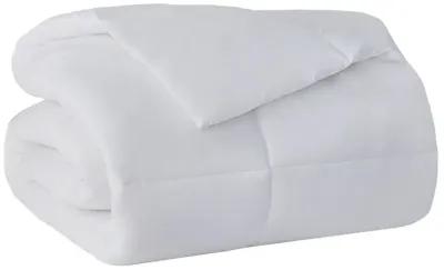 Sleep Philosophy Energy Recovery White Energy Recovery Oversized Down Alternative Comforter