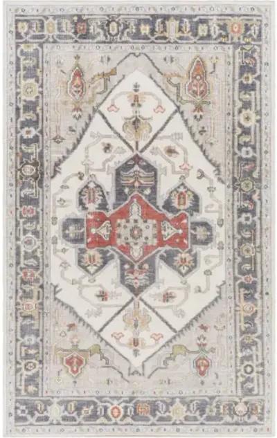 Revere RVE-2307 2'6" x 8' Rug