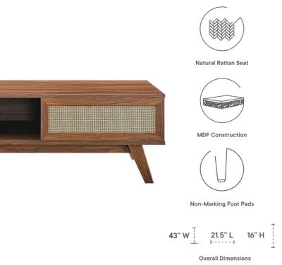 Soma Coffee Table