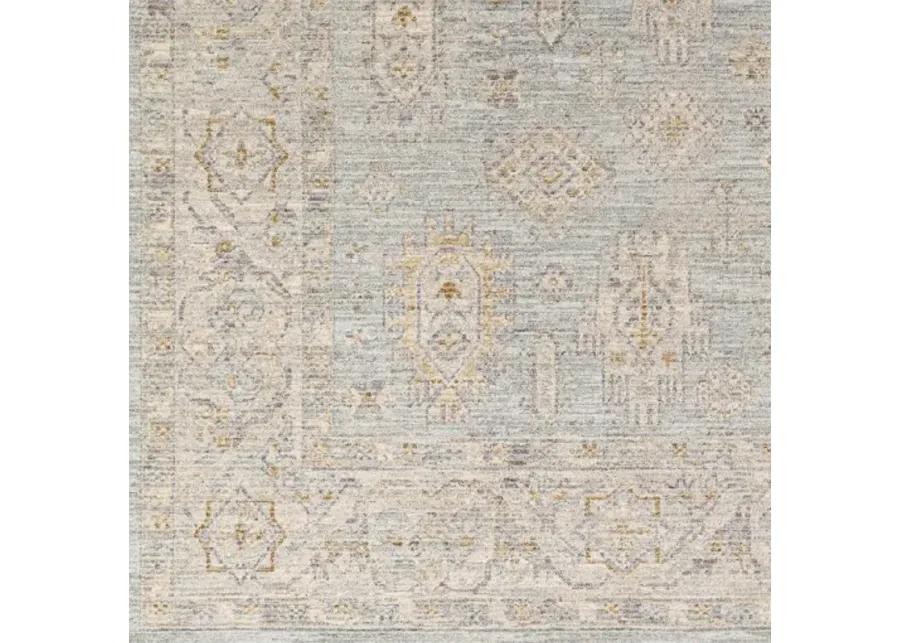 Avant Garde AVT-2344 2'7" x 7'3" Rug