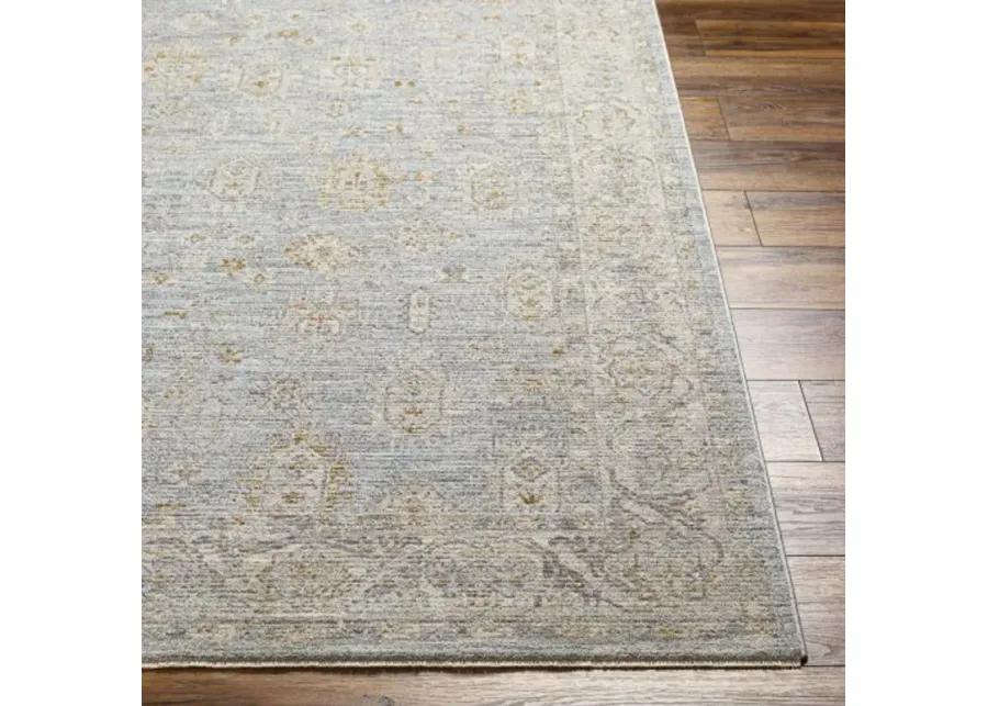 Avant Garde AVT-2344 2'7" x 7'3" Rug