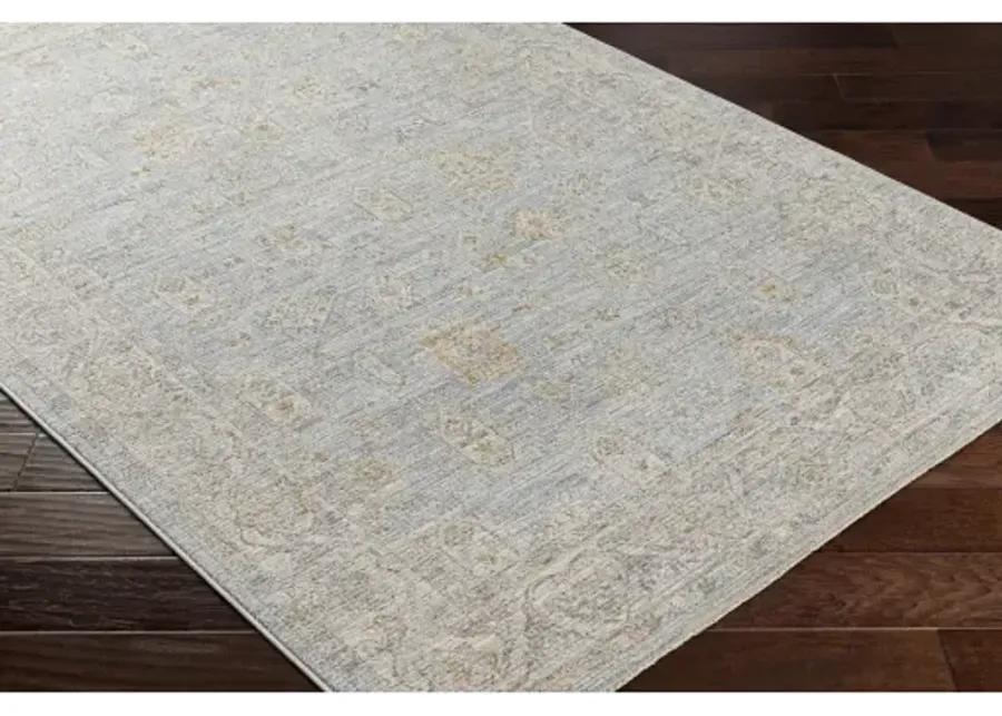 Avant Garde AVT-2344 2'7" x 7'3" Rug