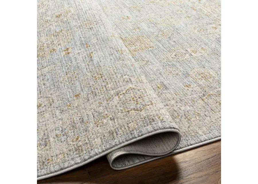 Avant Garde AVT-2344 2'7" x 7'3" Rug