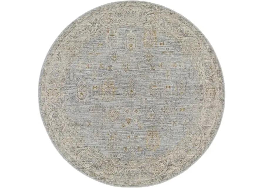 Avant Garde AVT-2344 2'7" x 7'3" Rug