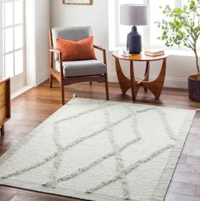 Tripoli TRP-2301 5' x 7'6" Handmade Rug