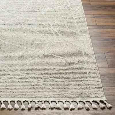 Rudy RDY-2303 7'10" x 10' Machine Woven Rug