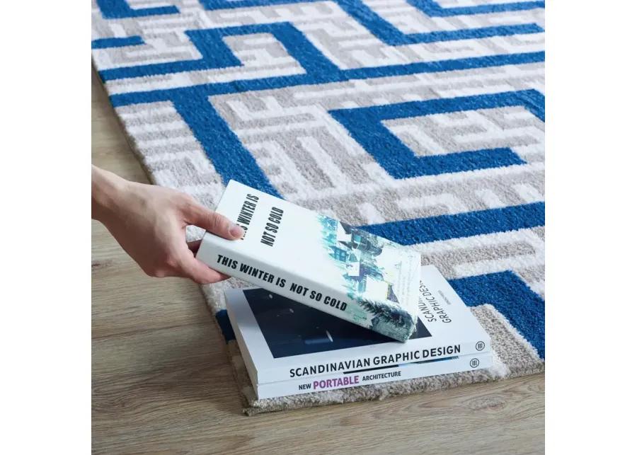 Nahia Geometric Maze 5x8 Area Rug