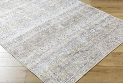 Amelie AML-2400 2'7" x 7'10" Machine Woven Rug