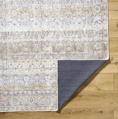 Amelie AML-2400 2'7" x 7'10" Machine Woven Rug