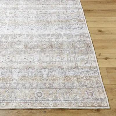 Amelie AML-2400 2'7" x 7'10" Machine Woven Rug