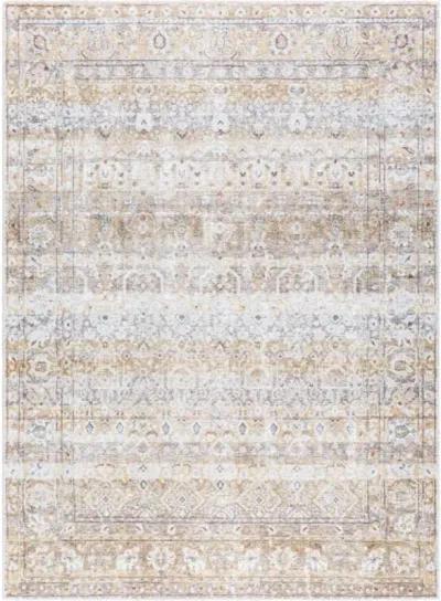 Amelie AML-2400 2'7" x 7'10" Machine Woven Rug