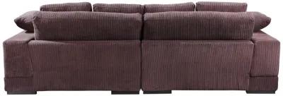 PLUNGE SECTIONAL