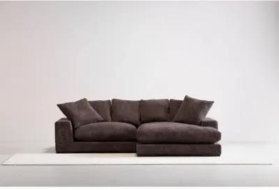 PLUNGE SECTIONAL