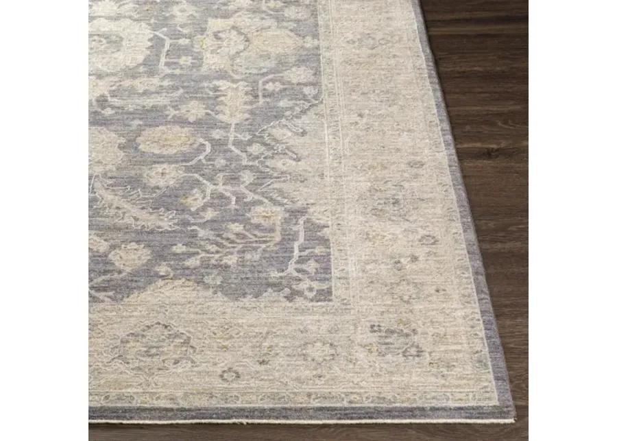 Avant Garde AVT-2303 2'7" x 7'3" Rug