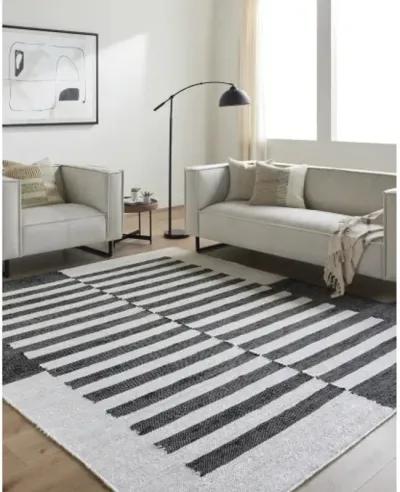 Diane DAI-2305 9' x 12' Hand Made Rug