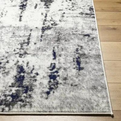 Pisa PSS-2372 6'7" x 9' Machine Woven Rug