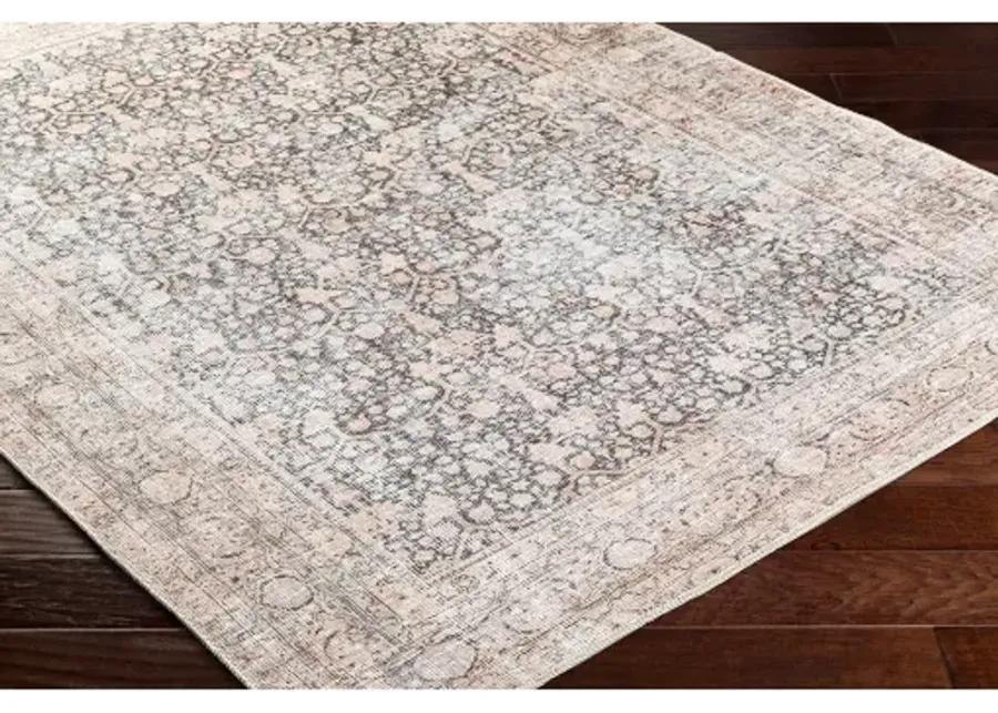 Amelie AML-2387 5'3" x 7'3" Machine Woven Rug