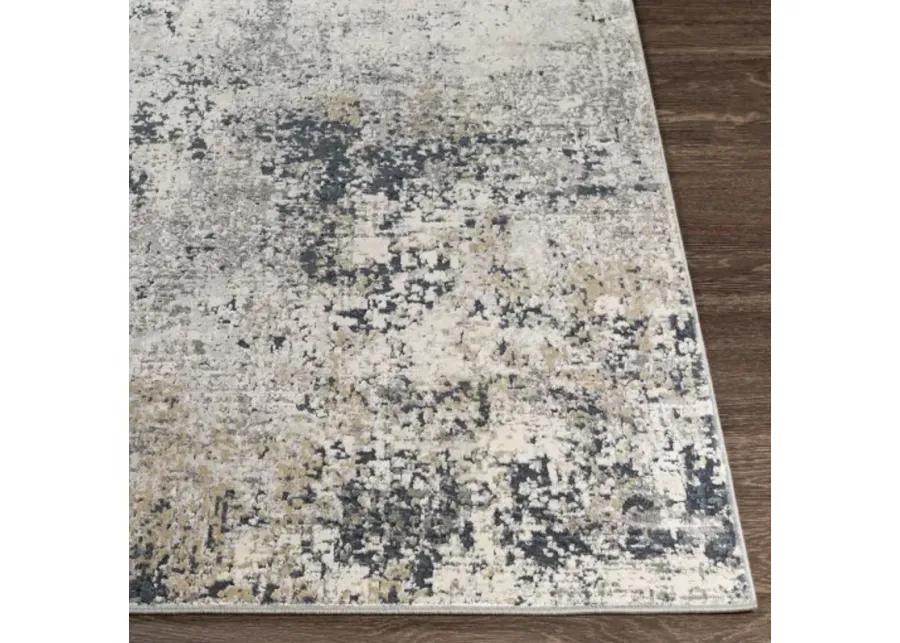 Norland 10' x 14' Rug