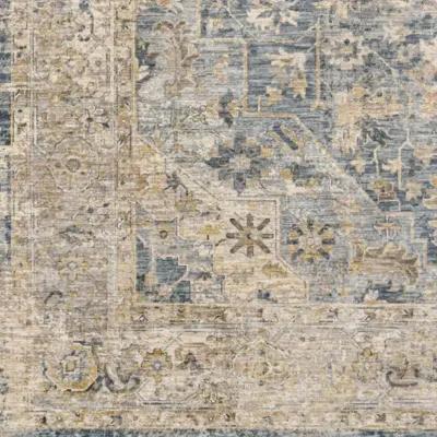 Aspendos APS-2307 2'7" x 7'3" Rug