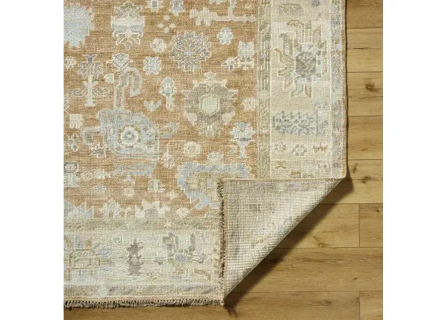 Antalya AAT-2313 2' x 3' Handmade Rug