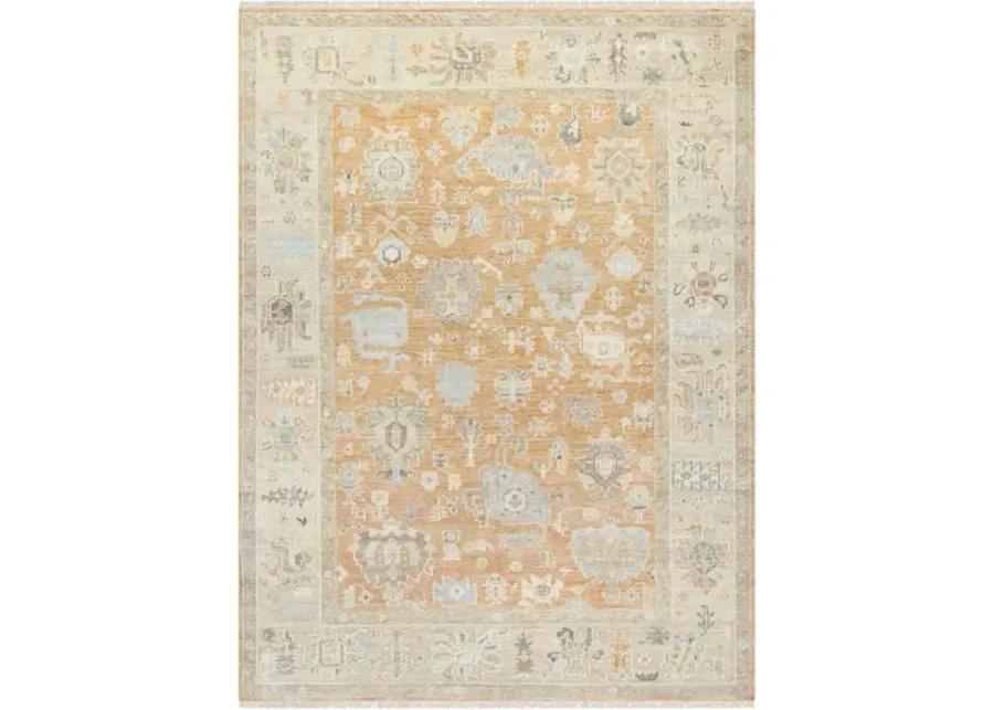 Antalya AAT-2313 2' x 3' Handmade Rug