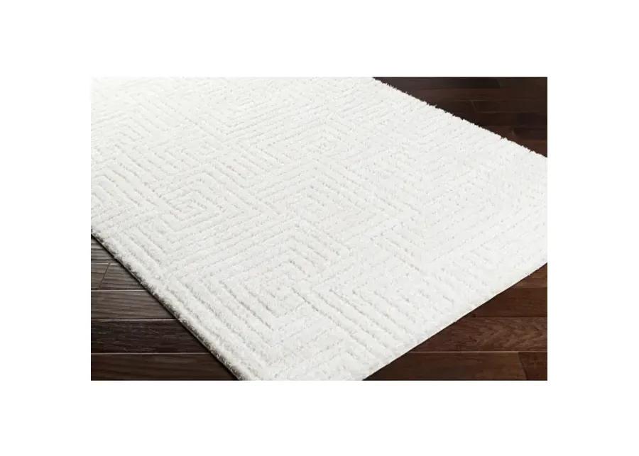 Nomadic NMC-2314 5'3" x 7' Machine Woven Rug