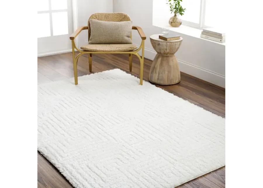 Nomadic NMC-2314 5'3" x 7' Machine Woven Rug