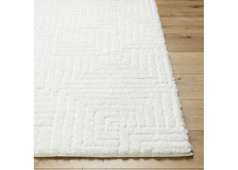 Nomadic NMC-2314 5'3" x 7' Machine Woven Rug