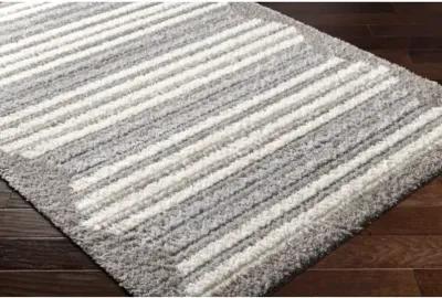 Nomadic NMC-2307 5'3" x 7' Machine Woven Rug