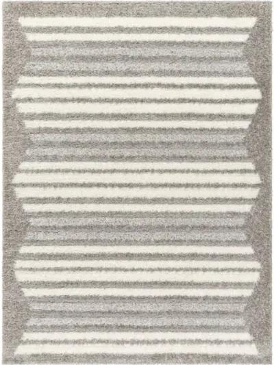 Nomadic NMC-2307 5'3" x 7' Machine Woven Rug