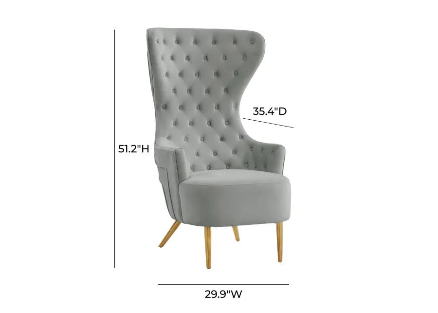 Jezebel Grey Velvet Wingback Chair