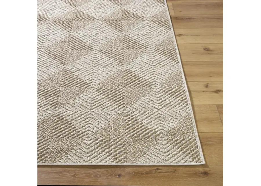 Kaya VVKA-2300 5'3" x 7' Machine Woven Rug