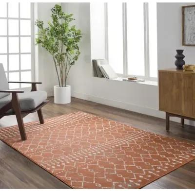 Pisa PSS-2371 6'7" x 9' Machine Woven Rug