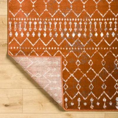 Pisa PSS-2371 6'7" x 9' Machine Woven Rug